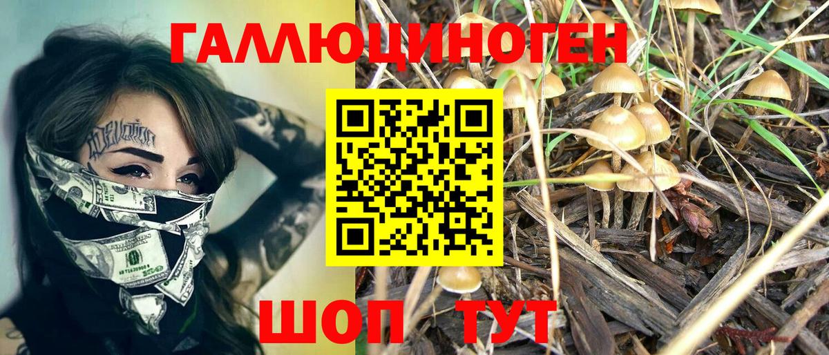 Кизляр  Галлюциногенные грибы GOLDEN TEACHER  сколько стоит  Вход с VPN 