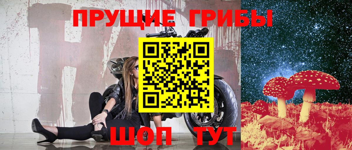 Галлюциногенные грибы прущие грибы Кизляр